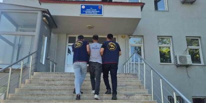Bingöl’de 5 bin 176 kök kenevir ele geçirildi