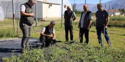 Erzincan Fidanlık Şefliğinde 2026 yılı üretim çalışmaları incelendi