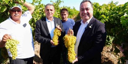 Bağ Bozumu Şenliği Manisalılardan tam not aldı