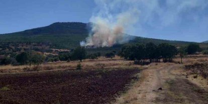 Eskişehir’de ormanlık alanda çıkan yangın kontrol altına alınmaya çalışılıyor