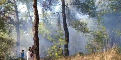 Köyceğiz’de orman yangınına erken müdahale