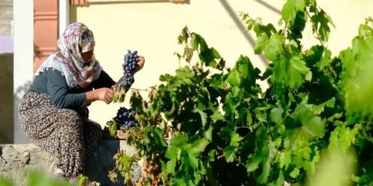 75 yıllık ömür, nasırlı eller ve Cimin üzümü