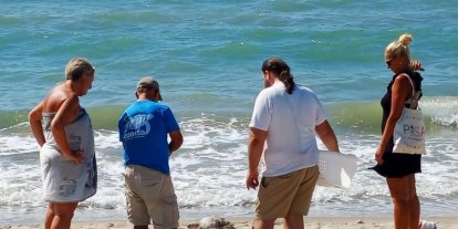Kuşadası Körfezi’nde 4 deniz kaplumbağası ölü bulundu