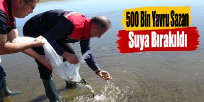 Kars’ta 500 bin yavru sazan Bayburt Baraj Gölü’ne bırakıldı
