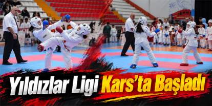 Genç Karateciler Kars’ta Tatamiye Çıktı
