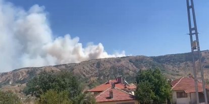Ankara-Çankırı sınırında orman yangını