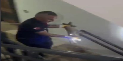 Osmaniye’de apartmanın 3’üncü katına çıkan tilki doğaya bırakıldı