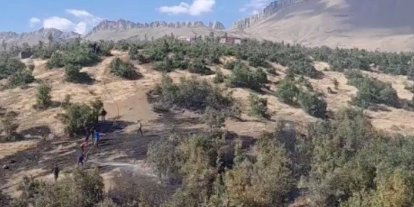 Beytüşşebap’ta orman yangını: Ekipler alevlerle mücadele ediyor
