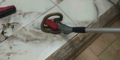 İskenderun ve Yayladağı’nda yerleşim yerlerine giren yılanlar yakalandı