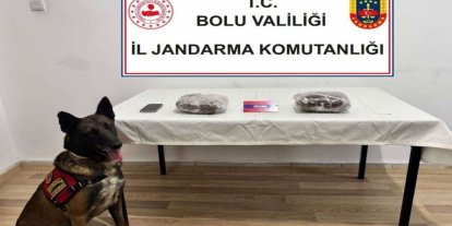 TEM’de yolcu otobüsünde 810 gram esrar ele geçirildi; 1 tutuklama
