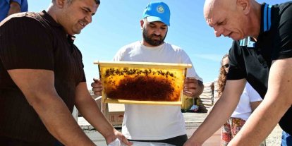 Manisa’da arıcıların peteklerine eksi 30 derecelik koruma