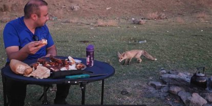 Bitlis’te piknik sofrasına davetsiz misafir