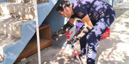 İskenderun’da evin içerisinde görülen yılan yakalandı
