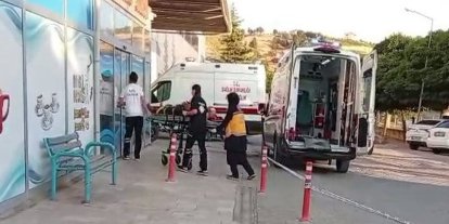 Ceviz ağacından düşen kişi yaralandı