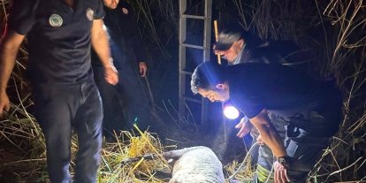 Su kuyusuna düşen koyun itfaiye ekiplerince kurtarıldı