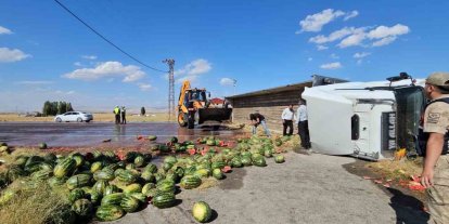 Muş’ta karpuz yüklü tır devrildi: Karpuzlar yola döküldü