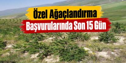 Kars’ta Özel Ağaçlandırma Başvuruları Devam Ediyor