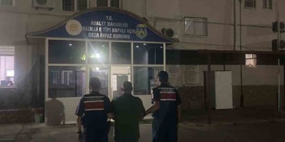 Kuyucak’ta ormanlık alanda kenevir yetiştiren şüpheli suçüstü yakalandı