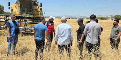 TAKEP kapsamında yüzde 75 hibe ile mercimek tohumuna müracaatlar başladı