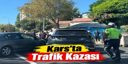 Kars'ta Trafik Kazası