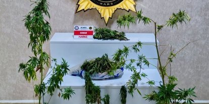 Kars’ta uyuşturucu operasyonu: Evden 272 gram esrar ve 6 kök Hint keneviri çıktı