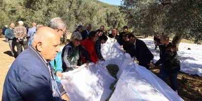 Edremit Körfezi’nin Altın Mirası İçin "3. Edremit Festolıve" başlıyor