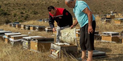Aydıntepe’de 2026 yılı arılı kovan tespitleri başladı