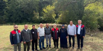 Kırsalda bereket, küçükbaşa destek