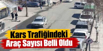 Kars’ta Trafiğe Kayıtlı Araç Sayısı 56 Bin 733 Oldu