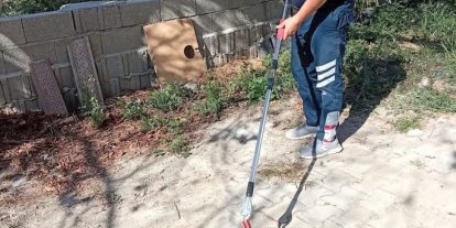 Samandağ’da yerleşim yerinde görülen yılan yakalanarak doğaya bırakıldı