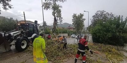 Yayladağı’nda aracın üzerine ağaç devrildi