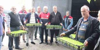 İnebolu’da 65 çiftçiye 88 bin 400 adet sebze fidesi dağıtıldı