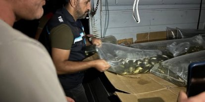 Bitlis’te göl ve göletlere 1 milyon 397 bin 500 yavru sazan bırakıldı