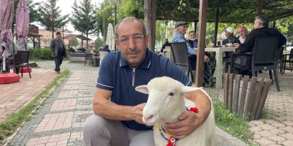 Tertip, Kavaklıların gözbebeği oldu