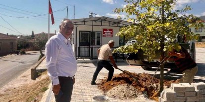 Sultanhisar’da ağaçlandırma çalışmaları sürüyor