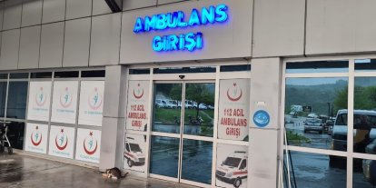 Ağaçtan düşen adam, merdiveni tutan kişiyi de yaraladı