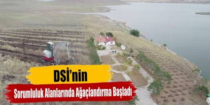DSİ’den Ağaçlandırma ve Orman Yangınlarına Karşı İş Birliği