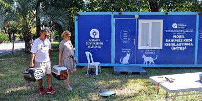 Mobil sahipsiz kedi kısırlaştırma ünitesi Karaalioğlu Parkı’nda
