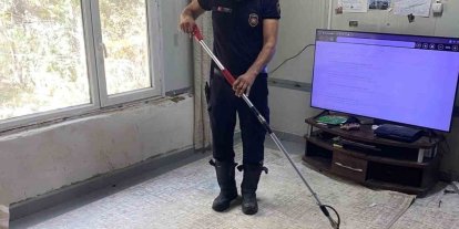 Defne’de eve giren yılanı itfaiye yakaladı