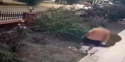 İzmir’de köpeğini gezdiren şahsın yavrulu kediye tekmeli saldırısı kamerada