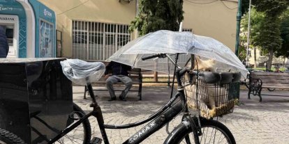 Bisiklet sepetindeki köpeğini yağmurdan şemsiye ile korudu