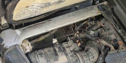 Erzincan’da araç motorunda mahsur kalan yavru kedi kurtarıldı