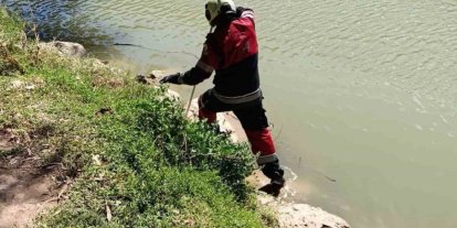 Reyhanlı’da göl kenarında görülen yılan yakalandı