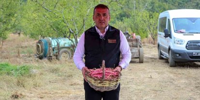 Bilecik’te her yıl 4 bin 500 ton taze barbunya hasadı yapılıyor