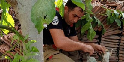 Vanaya sıkışarak mahsur kalan yavru kedi, itfaiye ekiplerinin çalışmasıyla kurtarıldı