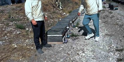 Arıcılığın geliştirilmesi için saha çalışmaları sürüyor