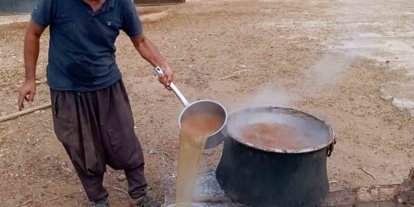 Araban’da gün pekmezi yapımına başlandı