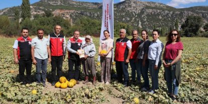 Menteşe Karabağlar yaylasında asırlık lezzetin hasat zamanı