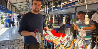 Bandırma’da balık tezgâhlarında palamut bereketi