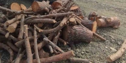 Kahramanmaraş’ta kaçak orman emvali